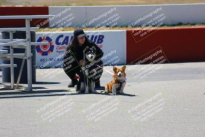 media/Apr-10-2022-Speed Ventures (Sun) [[fb4af86624]]/Around the Pits/